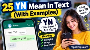 YN Mean In Text